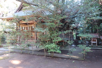 澳津説神社の写真