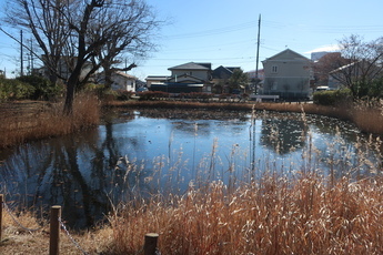 ため池の写真