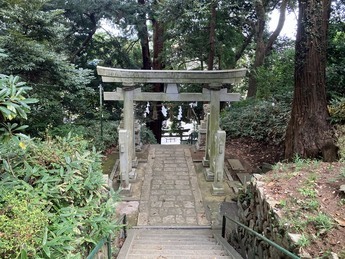 諏訪神社参道を見下ろす写真