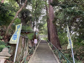 諏訪神社参道の写真