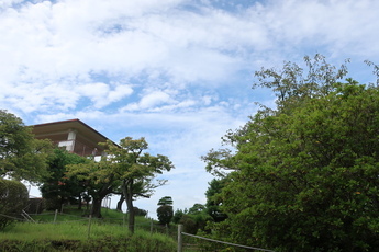 かみね公園展望台の写真1