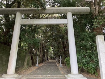 熊野神社鳥居の写真