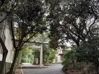 熊野神社境内の写真1