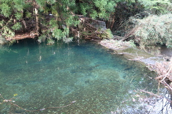 エメラルドグリーンの水の写真