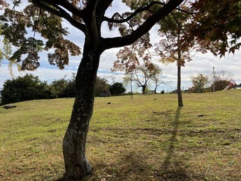 助川城跡公園の写真4