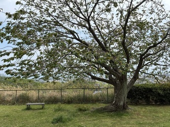 高鈴台中央公園3