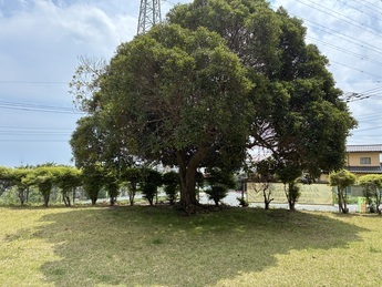 たかすずだい児童公園3