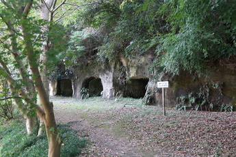 日陰になった横穴の遺跡の写真