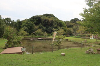 広場と池の写真