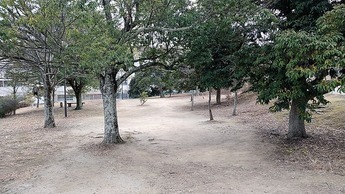 だいはら中央公園1