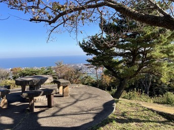 眼下に広がる太平洋を望む写真