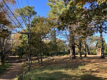 広場に通じる山道の写真