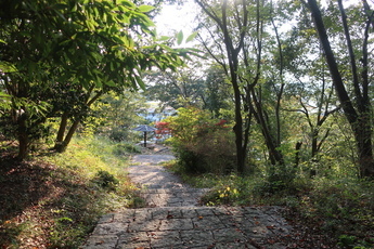 石畳の遊歩道の写真