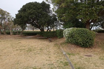 なぎさ公園2