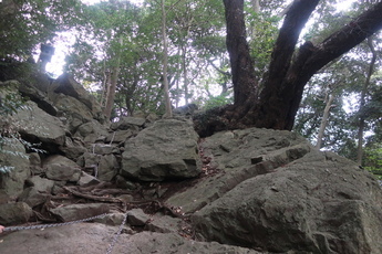 岩山の上の写真