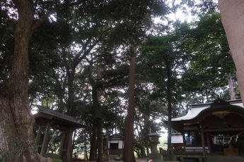 森に囲まれた神社の写真