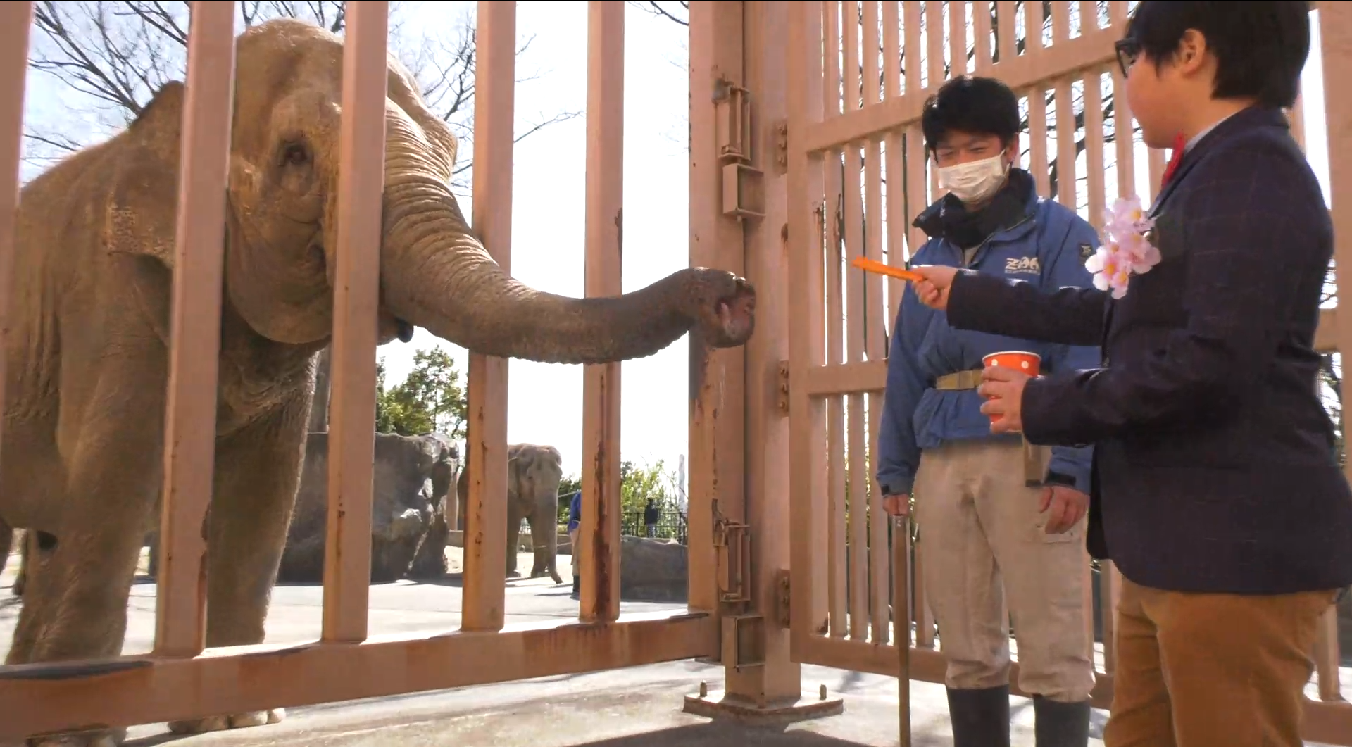 写真：かみね動物園