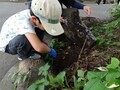 かみね昆虫図鑑をつくろう
