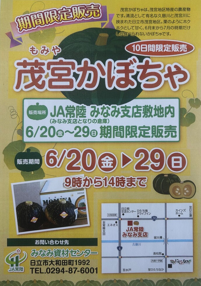 茂宮かぼちゃ