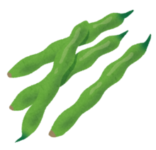 イラスト:いんげん豆