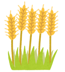イラスト:大麦