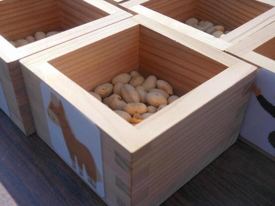 節分の豆の写真