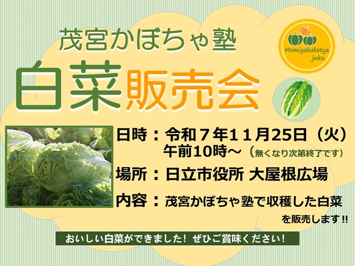 茂宮かぼちゃ塾白菜販売会