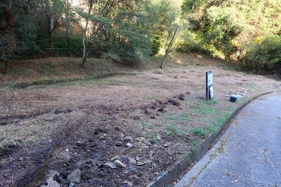 草刈り後の様子