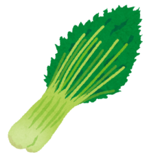 水菜のイラスト