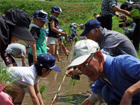 田植えの体験
