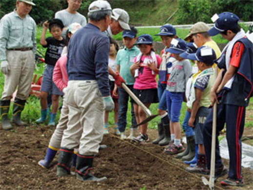 野菜の植え付け