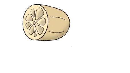 イラスト:れんこん