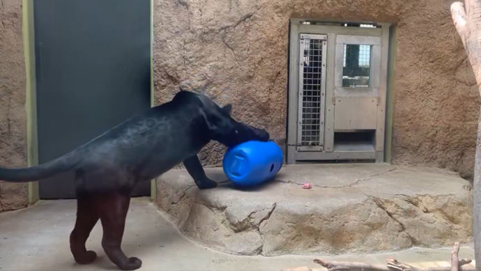 プラスチックドラム