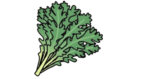 イラスト:小松菜