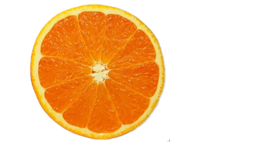 イラスト:清見オレンジ