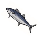 イラスト:さわら