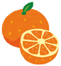 イラスト:かんきつるい