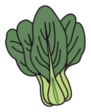 イラスト：【チンゲンサイ】