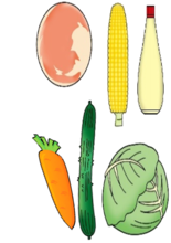 イラスト:【コールスロー】