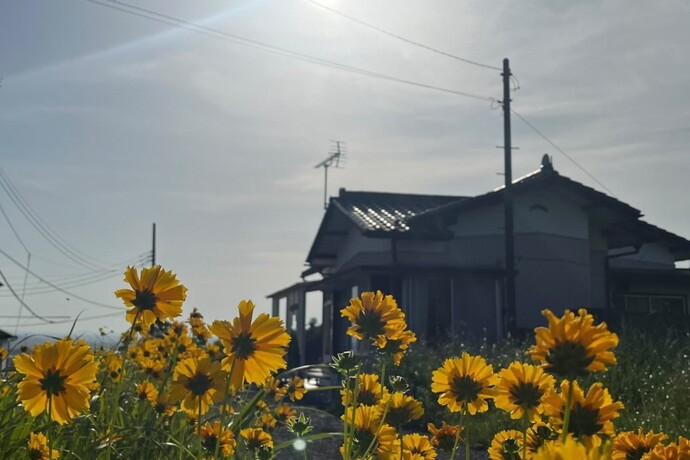 店の外観と花畑