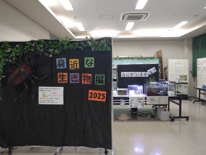 夏の企画展