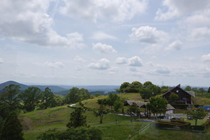 展望台から見えた景色の写真