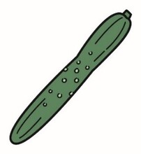 イラスト:きゅうり