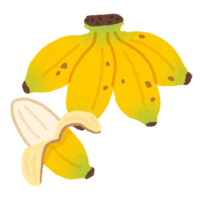 イラスト：バナナ