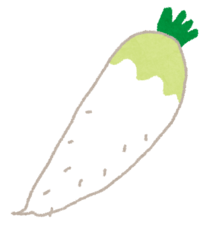 イラスト：大根