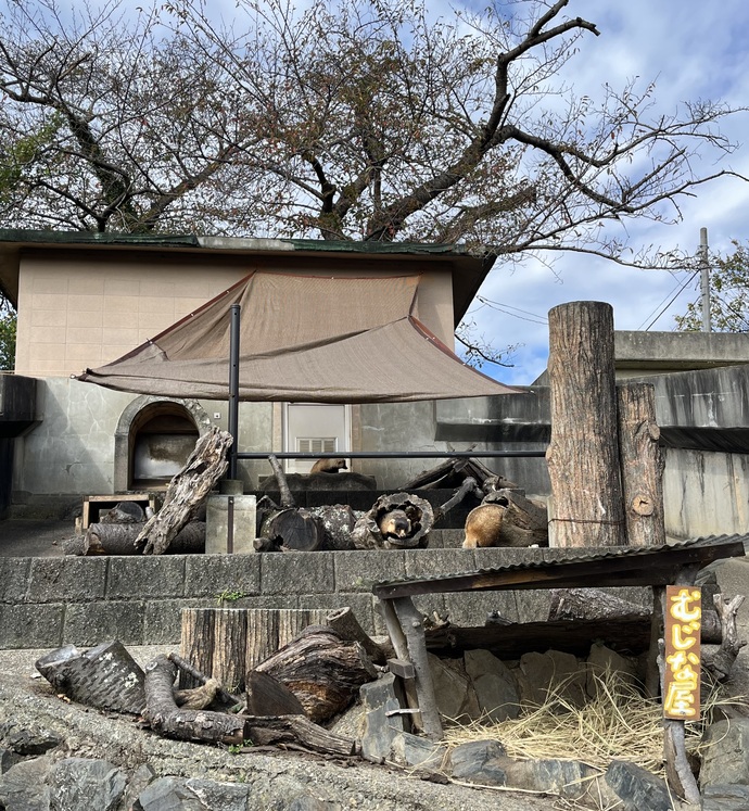 日よけシェード
